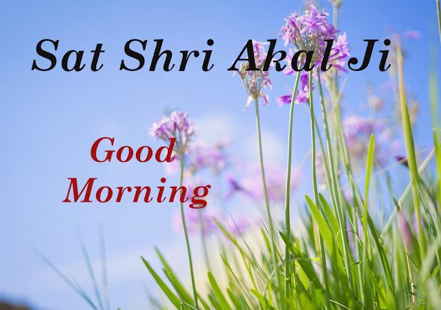 Fantastic Sat Shri Akal Ji Good Morning Pic